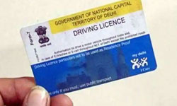 Driving Licence Application